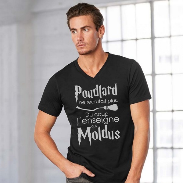 T-Shirt  Poudlard Enseignant 
